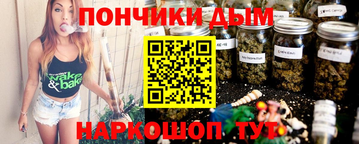 Шишки марихуана гибрид Топки